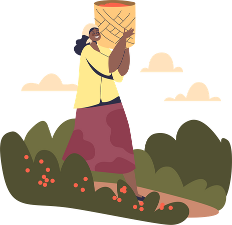 Brazilian woman carry bag with coffee beans from plantation  イラスト