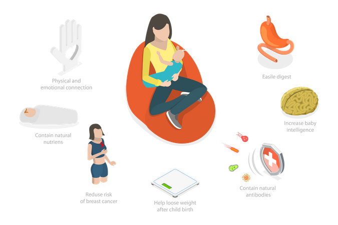 Breast Feeding Benefits and Young Woman Nursing Newborn Baby  Illustration