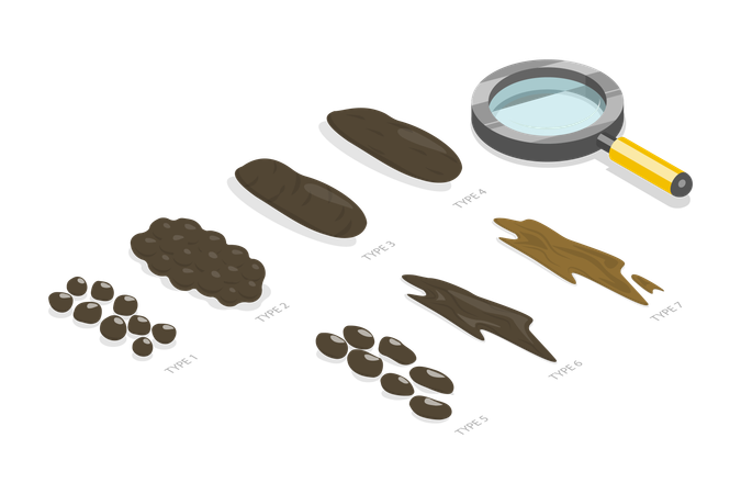 Bristol Stool Chart  イラスト