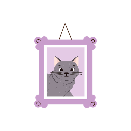 British horthair cat breed  Illustration