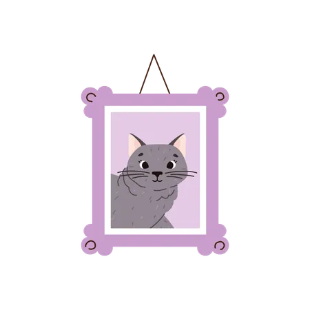 British horthair cat breed  Illustration