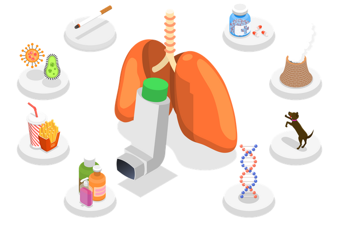 Bronchial Asthma Causes Respiratory Disease  Illustration