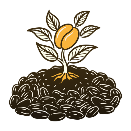 Broto de feijão  Illustration