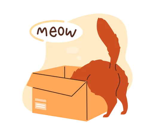 Brown cat and a cardboard box  Illustration