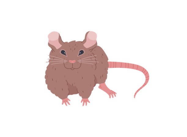 Brown mouse  Illustration