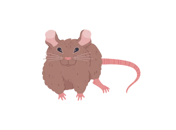 Cute Smiling Brown Mouse Flat Style Vector Illustration Isolated On White Background Rodent Animal Little Pet Decorative Design Element Domestic Rat Illustration
