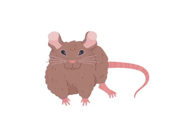 Brown mouse  Illustration