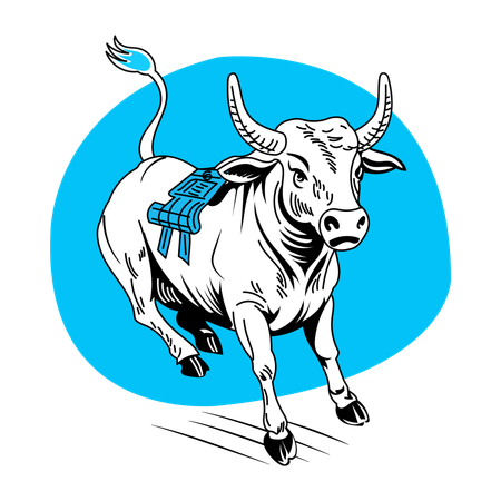 Bucking Bull  Illustration