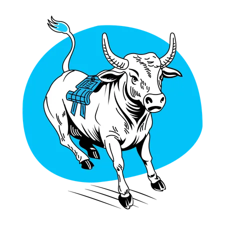 Bucking Bull  Illustration