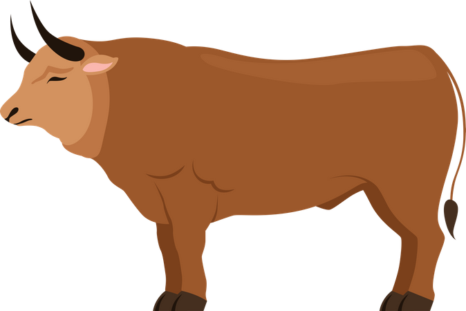 Bull Illustration