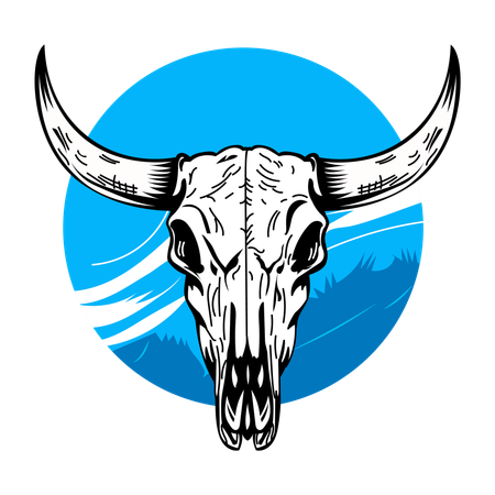 Bull Skull  Illustration