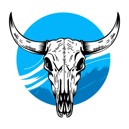 Bull Skull  Illustration