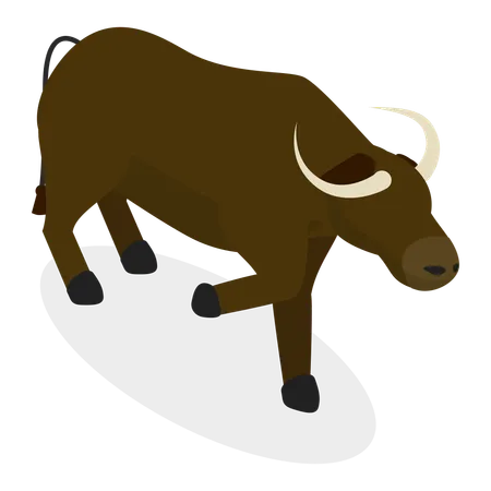 3 D Isometric Flat Vector Set Of Bulls And Cows Farm Animals Item 2 Illustration
