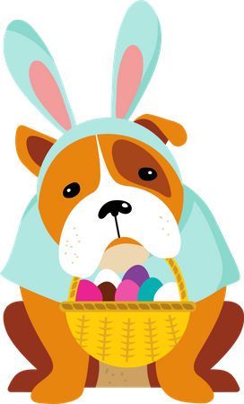 Bunny dog  Illustration