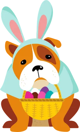 Bunny dog  Illustration