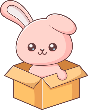 Bunny With Box  Illustration
