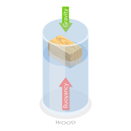 Buoyancy Force  Illustration