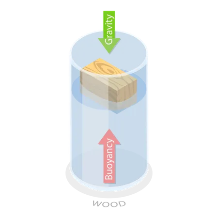 Buoyancy Force  Illustration