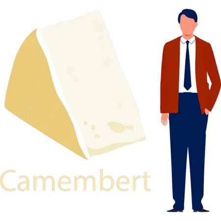 Büromann erklärt Camembertkäse  Illustration