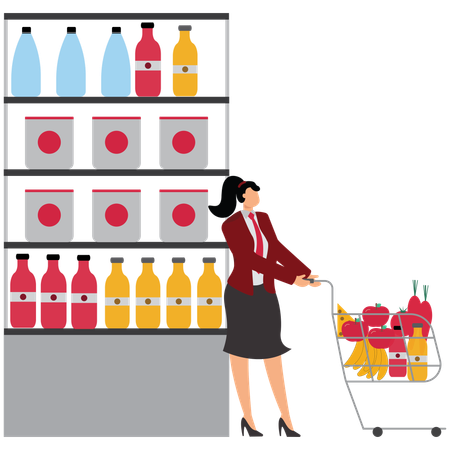 Business lady doing Grocery and Essentials Shopping  Illustration