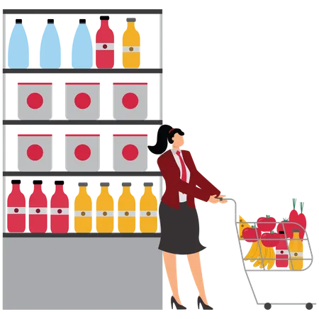 Business lady doing Grocery and Essentials Shopping  Illustration