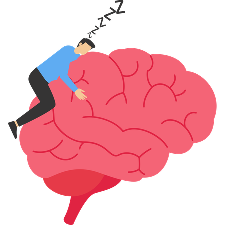 Businessman sleeping on brain  Illustration