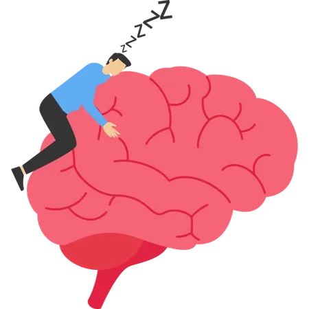 Businessman sleeping on brain  Illustration