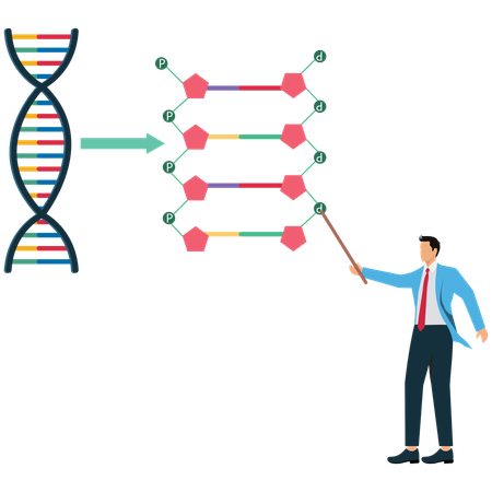 Businessman viewing DNA Molecule Structure  Illustration