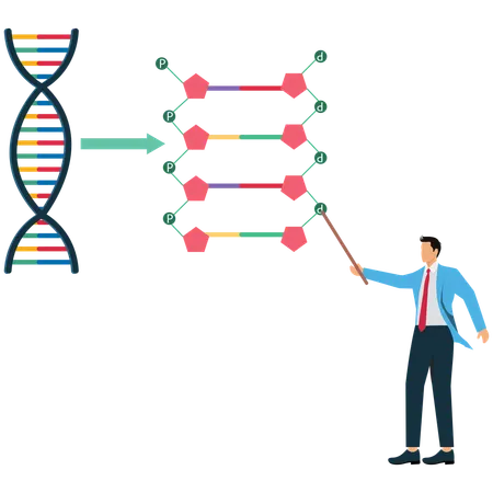 Businessman viewing DNA Molecule Structure  Illustration