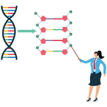 Businesswoman viewing DNA Molecule Structure  Illustration