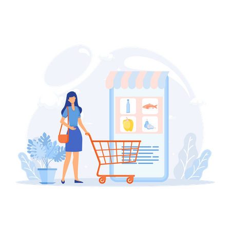 Buying Grocery Online  Illustration