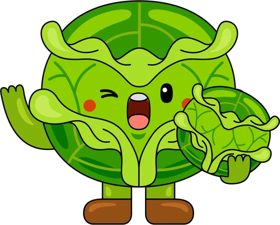 Cabbage Mascot holding Cabbage  Illustration