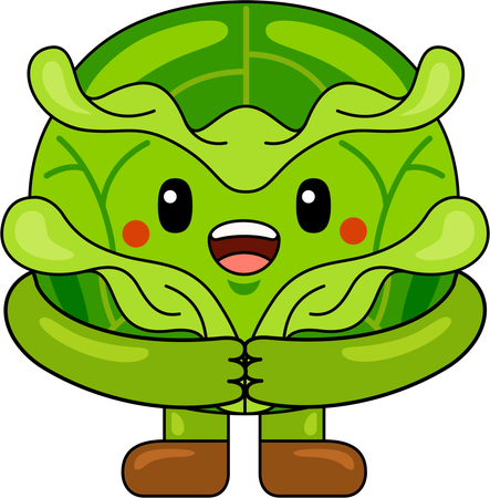 Cabbage Mascot standing  Illustration