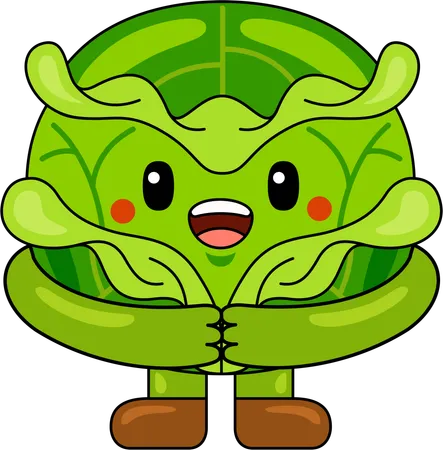 Cabbage Mascot standing  Illustration