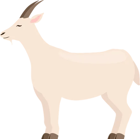 Animais Fazenda Cordeiro Leitao Vaca Ovelha Cabra Ilustração