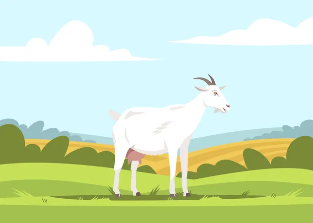 Cabra en el campo de granja  Ilustración