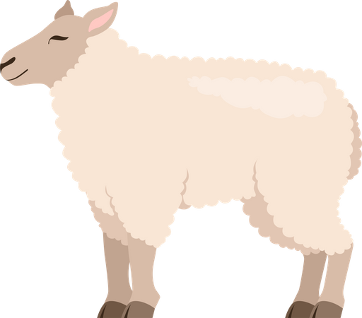 Cabra  Ilustração