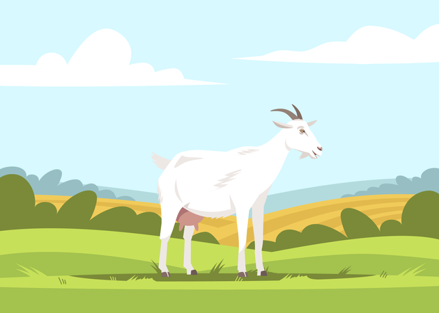 Cabra no campo da fazenda  Ilustração