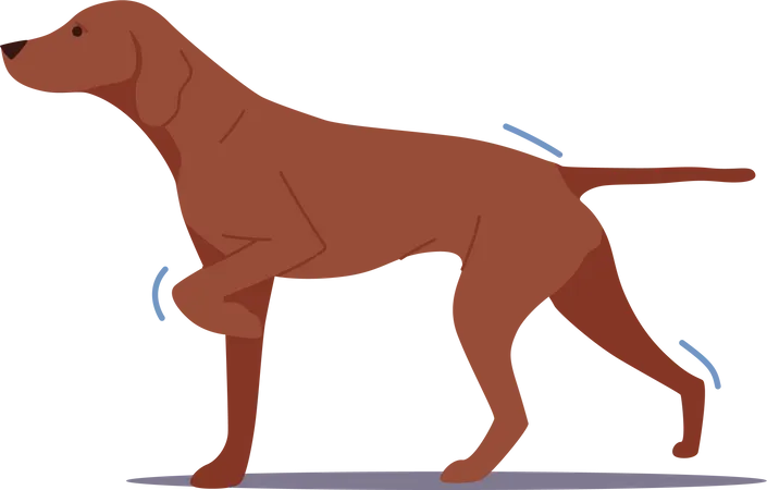 Cachorro caçador passeando  Ilustração