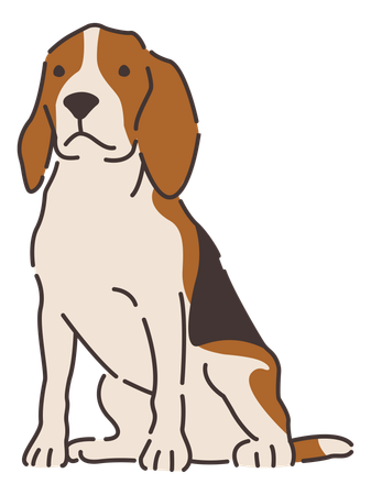 Cachorro beagle  Ilustração