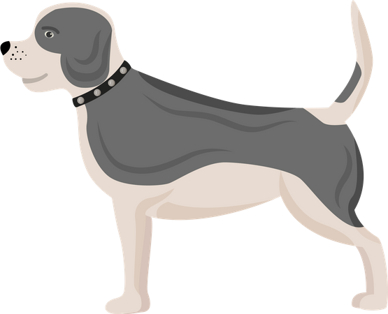 Cachorro com manchas cinzentas  Ilustração