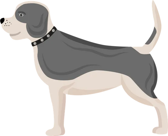 Cachorro com manchas cinzentas  Ilustração
