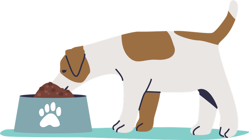 Cachorro comendo ração seca  Ilustração