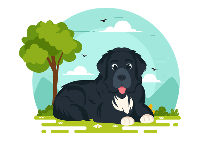 Cão da Terra Nova  Ilustração