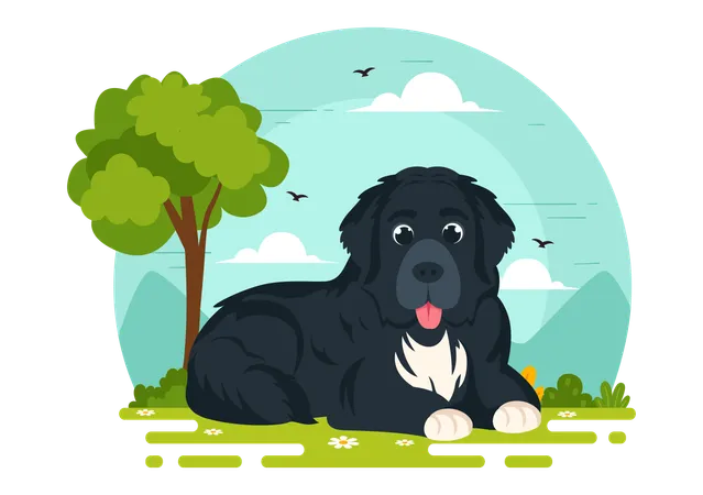 Cão da Terra Nova  Ilustração