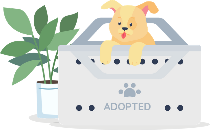 Cachorro dorado en adopción  Ilustración