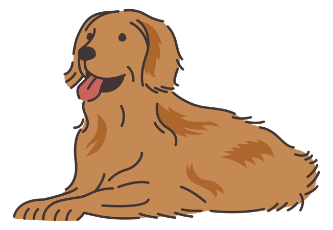 Cachorro golden retriever  Ilustração