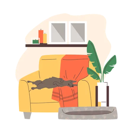Cachorro engraçado dormindo no sofá em vez da cama  Ilustração