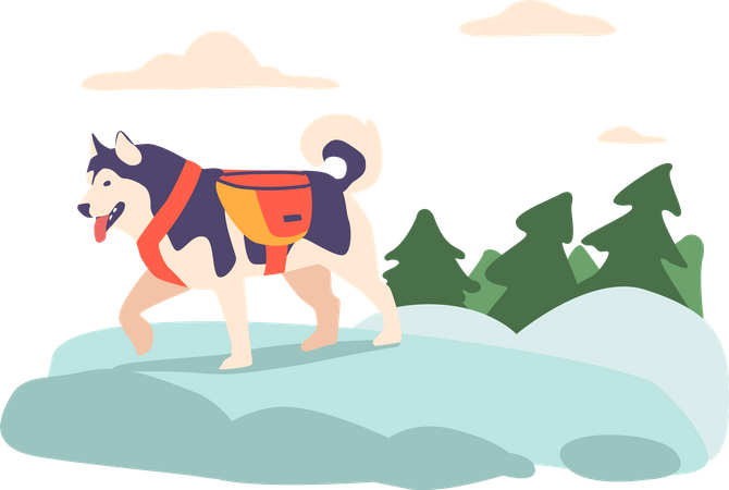 Cão esquimó nas montanhas  Ilustração