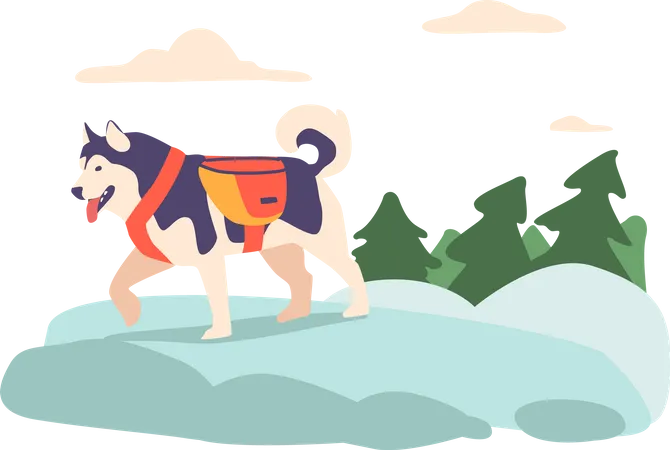 Cão esquimó nas montanhas  Ilustração